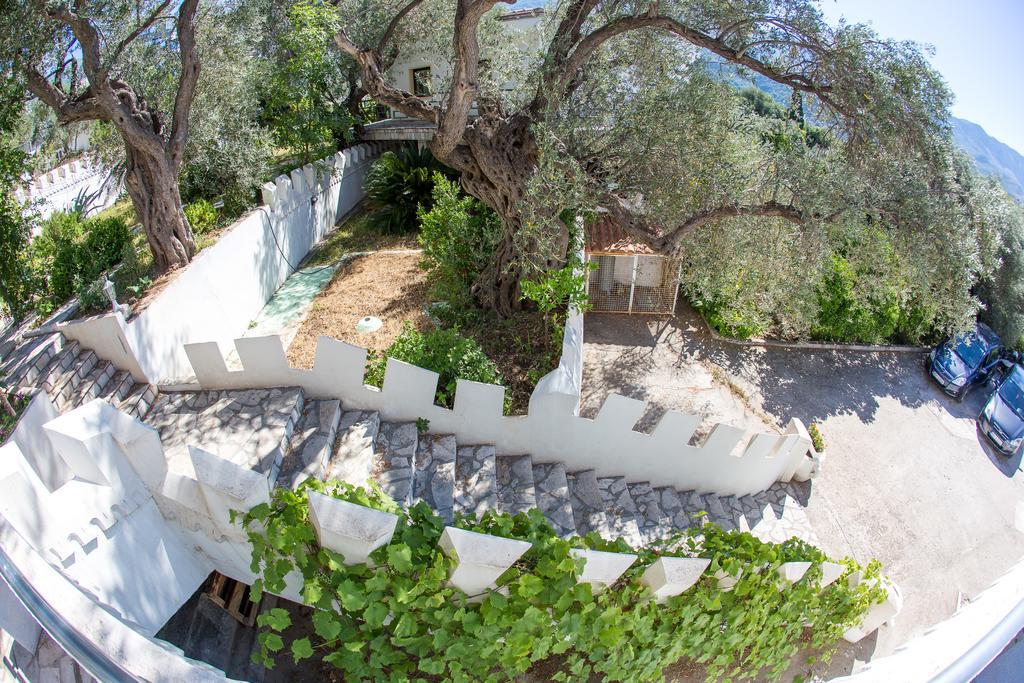 Villa The Turtles Garden à Bečići Extérieur photo
